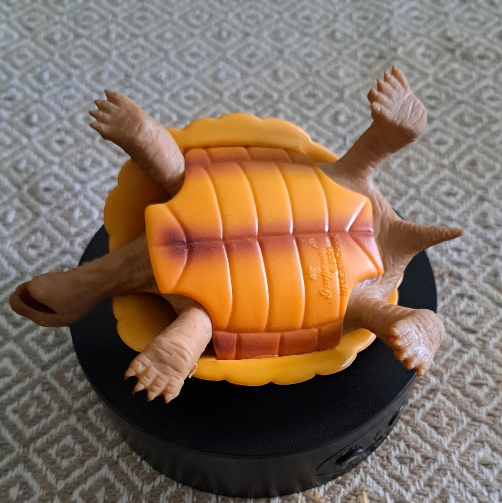Let's talk turtles - Picture 3 of 3